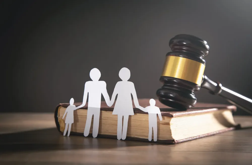droit de la famille (2)